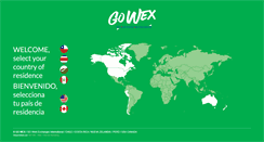 Desktop Screenshot of gowexint.com